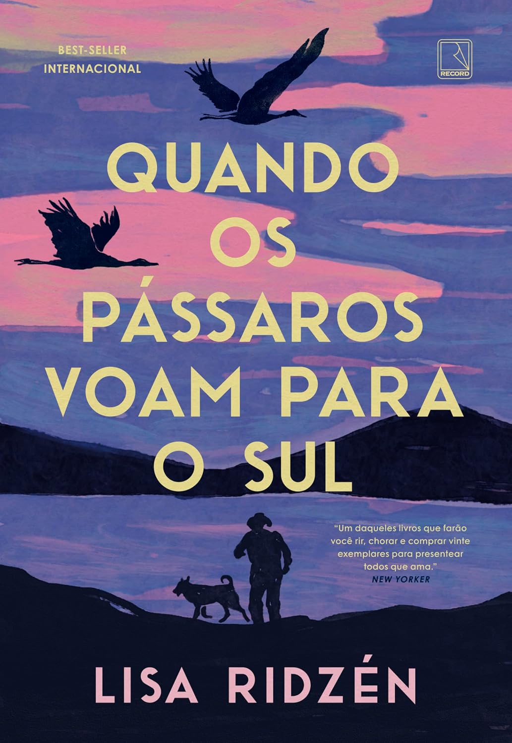 ler totalmente Quando os pássaros voam para o sul