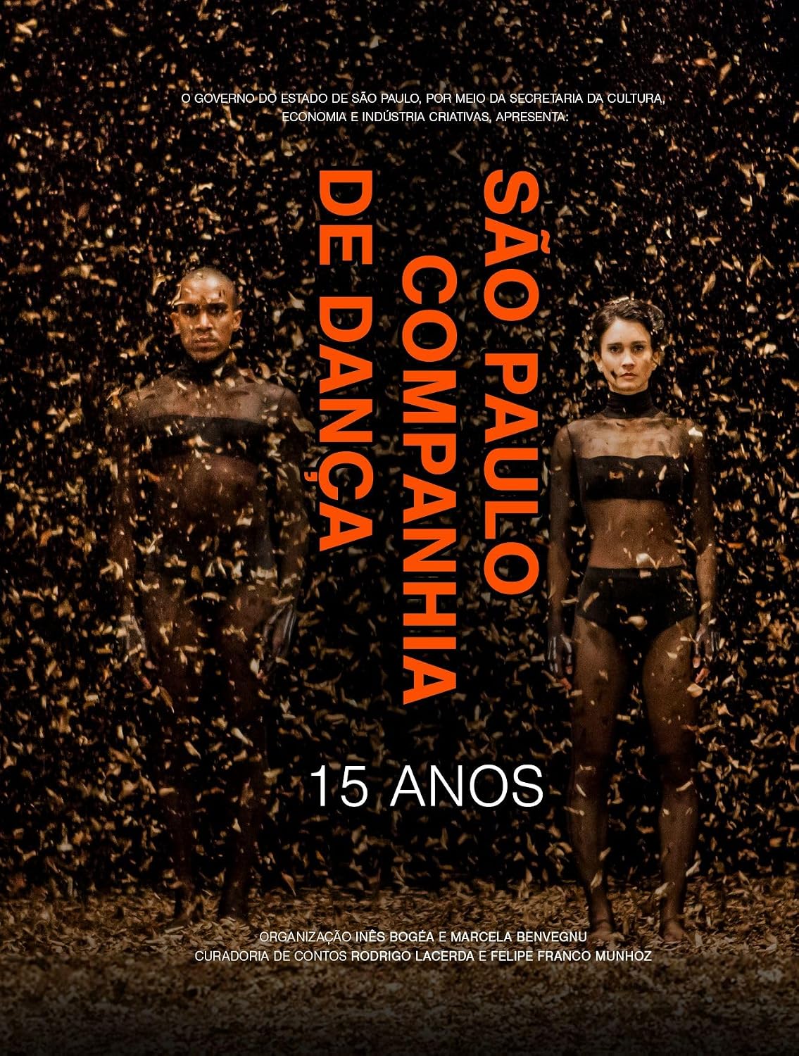 São Paulo companhia de dança - 15 anos: 15 anos