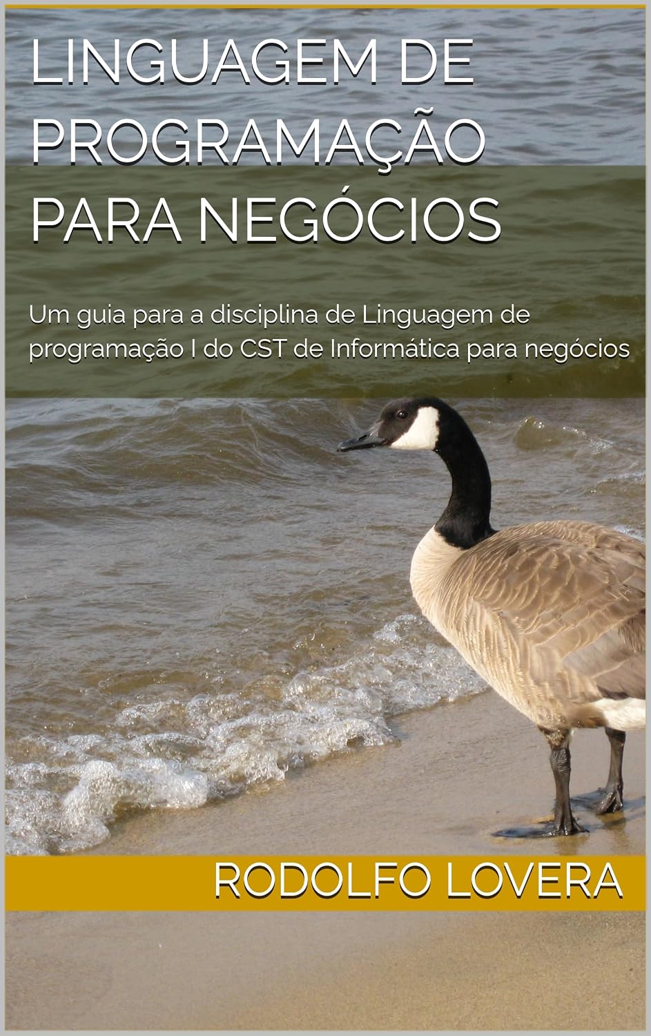 Linguagem de Programação para Negócios: Um guia para a disciplina de Linguagem de programação I do CST de Informática para negócios baixar livro de graça