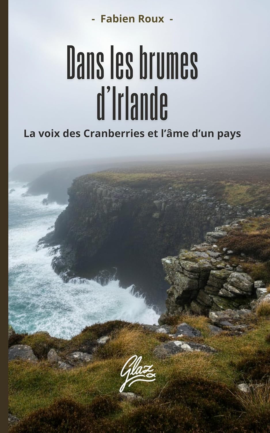capítulo por capítulo baixar Dans les brumes d’Irlande: La voix des Cranberries et l’âme d’un pays (French Edition)