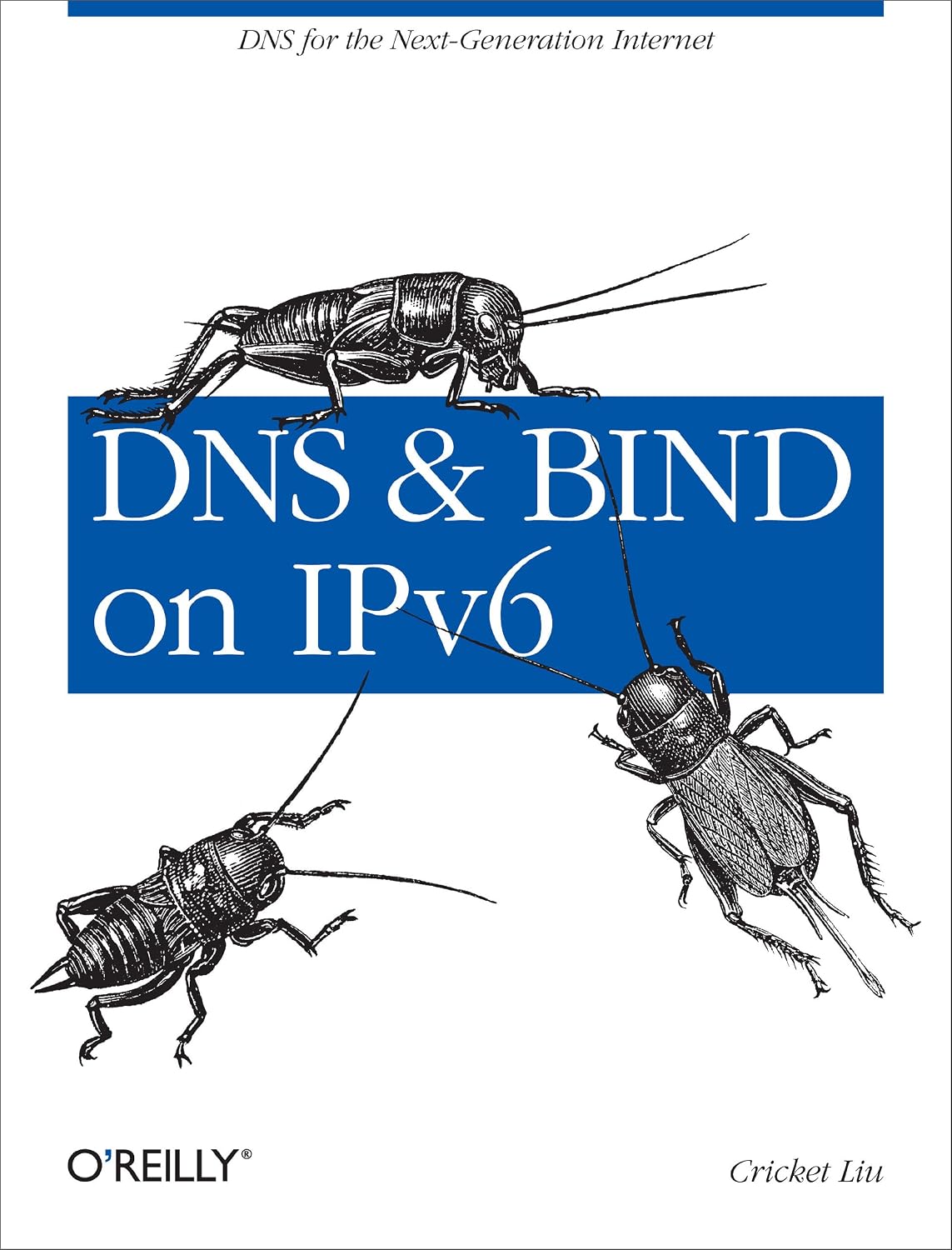 DNS and BIND on IPv6: DNS for the Next-Generation Internet (English Edition) baixar livro de graça