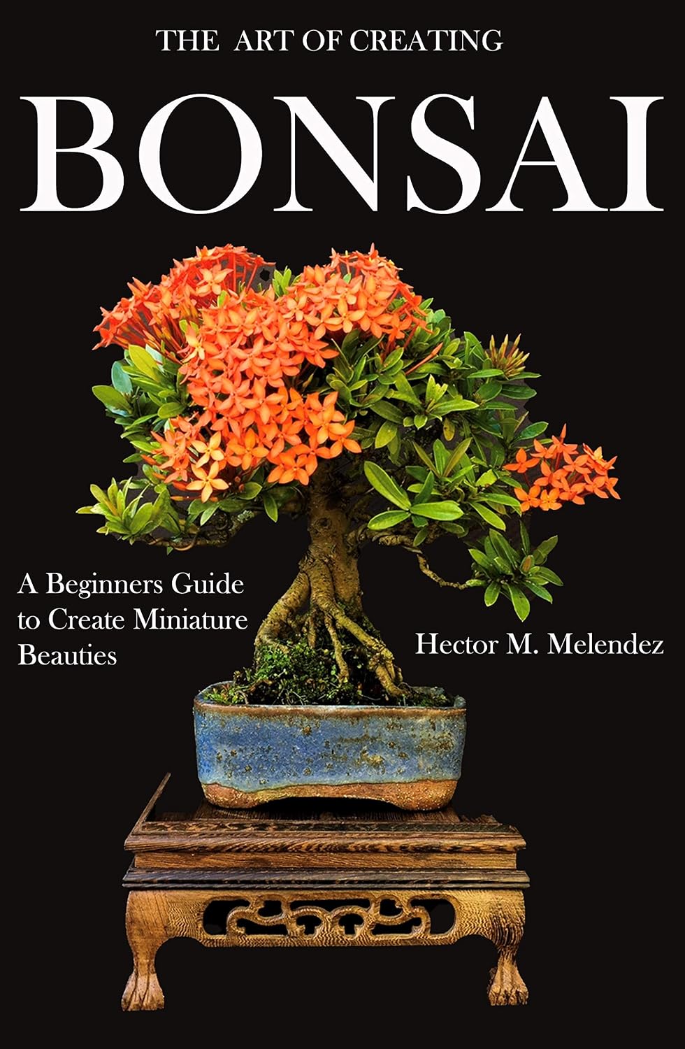 The Art of Creating Bonsai: A Beginners Guide to Create Miniature Beauties (Tropical Bonsai Books Book 1) (English Edition) baixar livro de graça