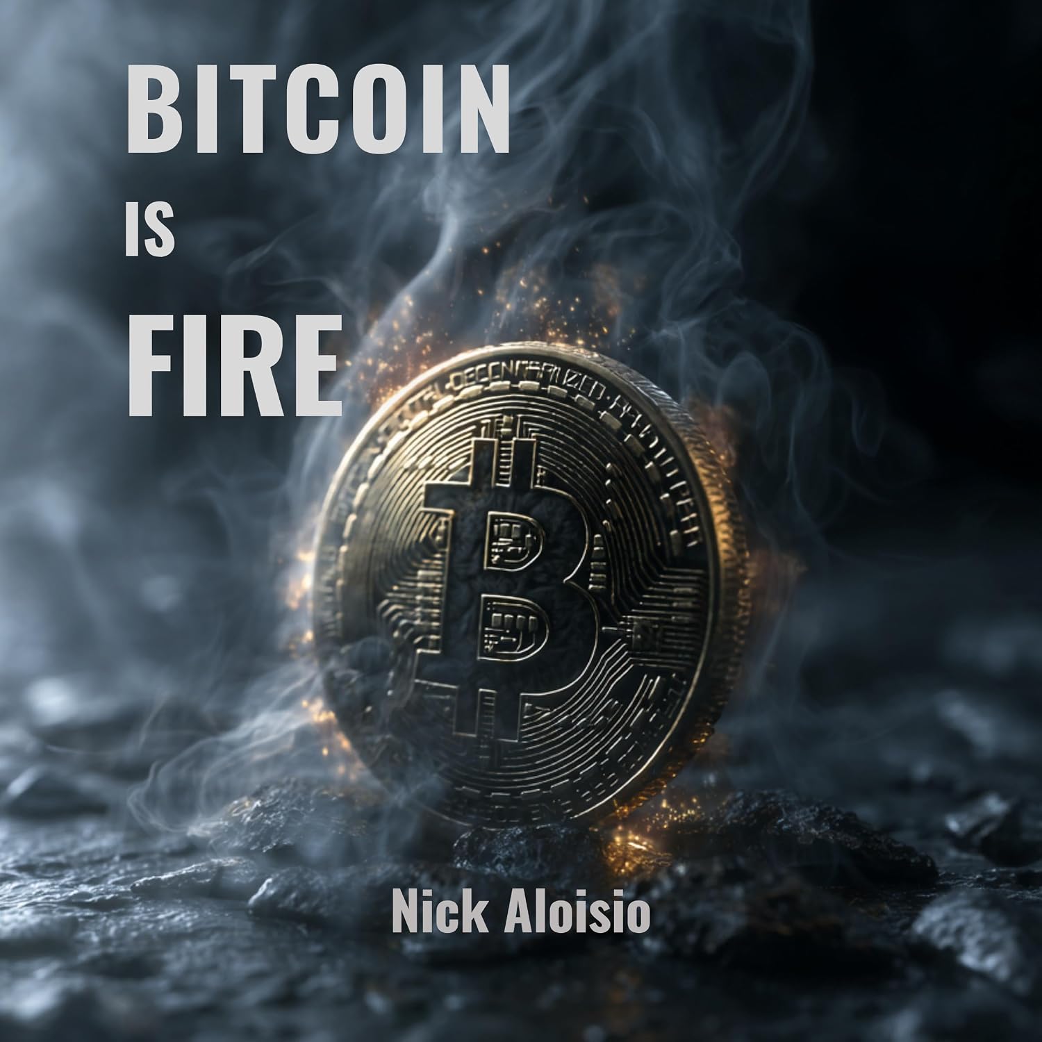 Bitcoin Is FIRE: Preserving Wealth in a World of Uncertainty baixar o livro de graça