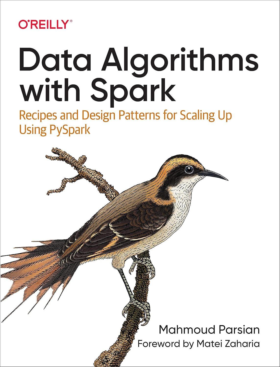Data Algorithms with Spark: Recipes and Design Patterns for Scaling Up using PySpark baixar livro de graça