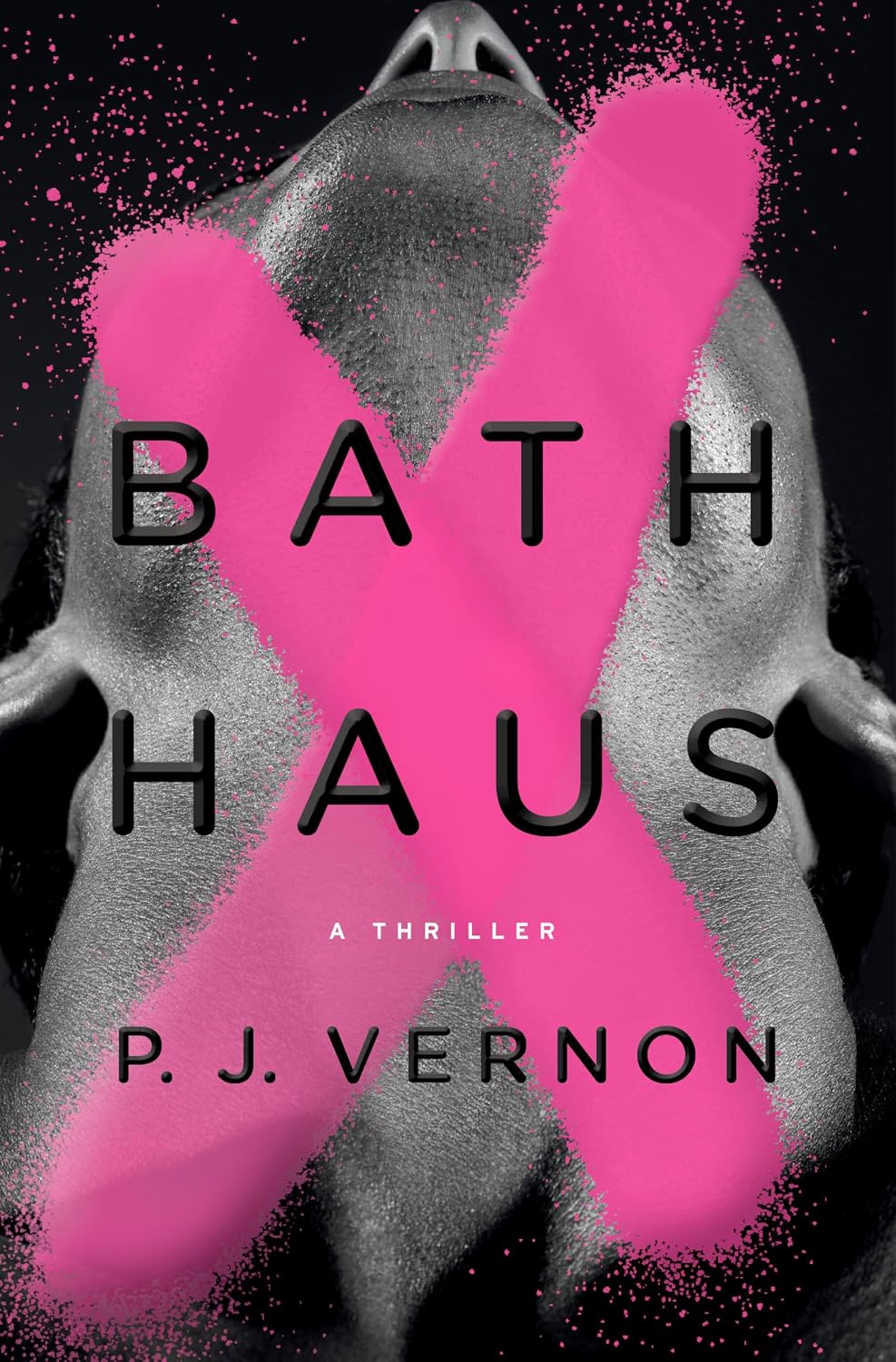 Bath Haus: A Thriller baixar livro de graça