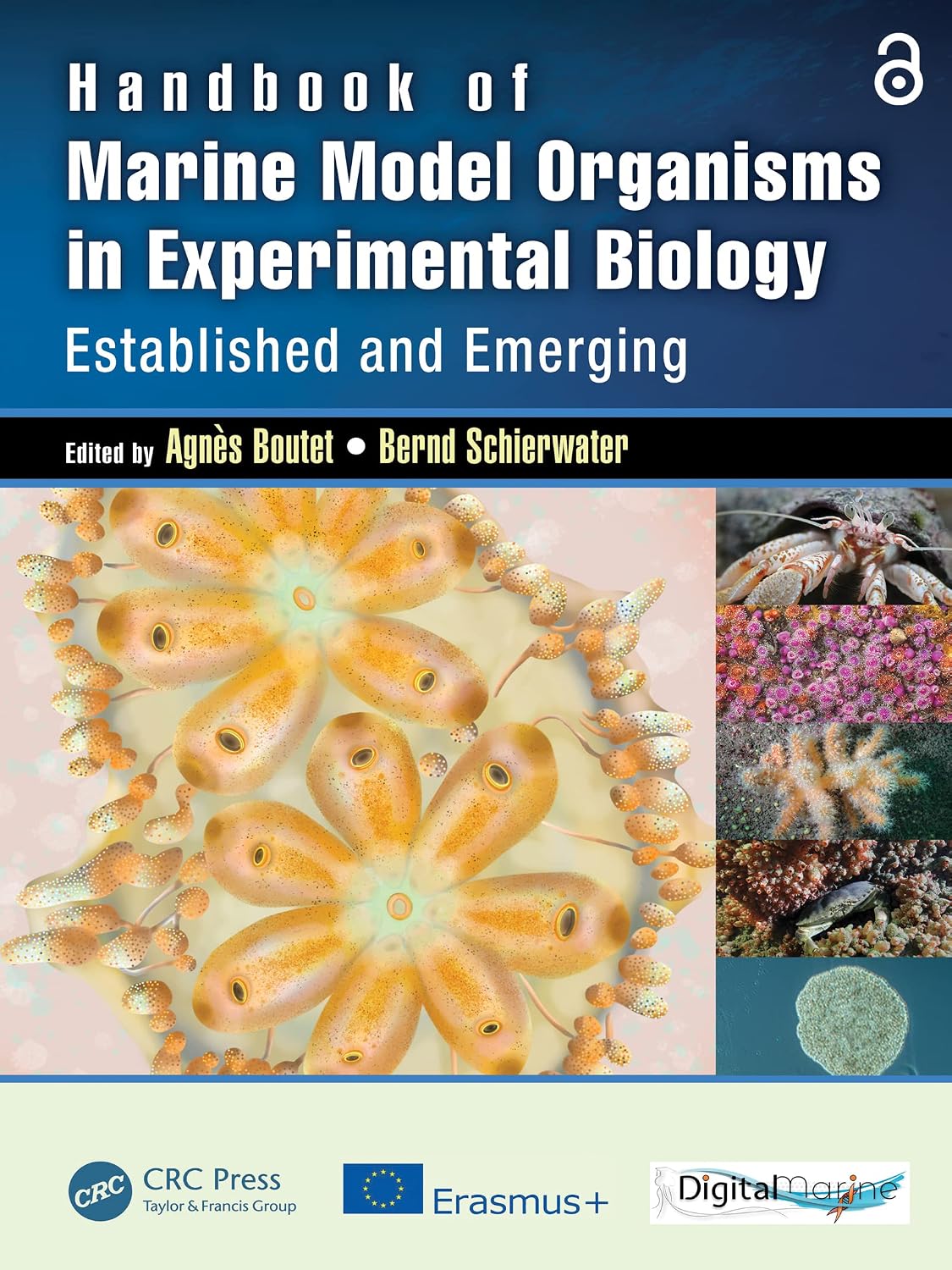 capítulo por capítulo baixar Handbook of Marine Model Organisms in Experimental Biology: Established and Emerging (English Edition)