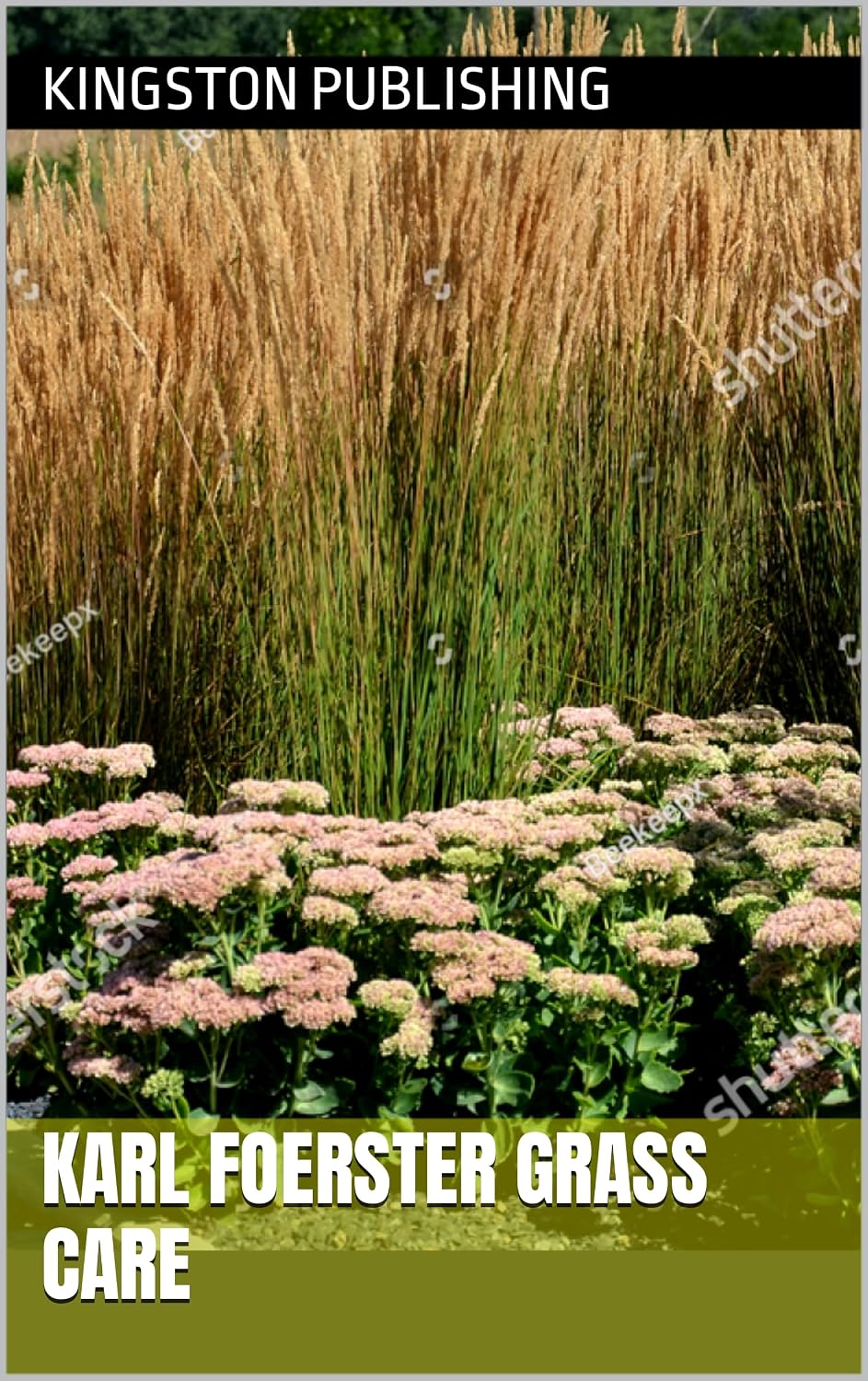 capítulo por capítulo baixar Karl Foerster Grass Care (Boxed Sets - Flowers) (English Edition)