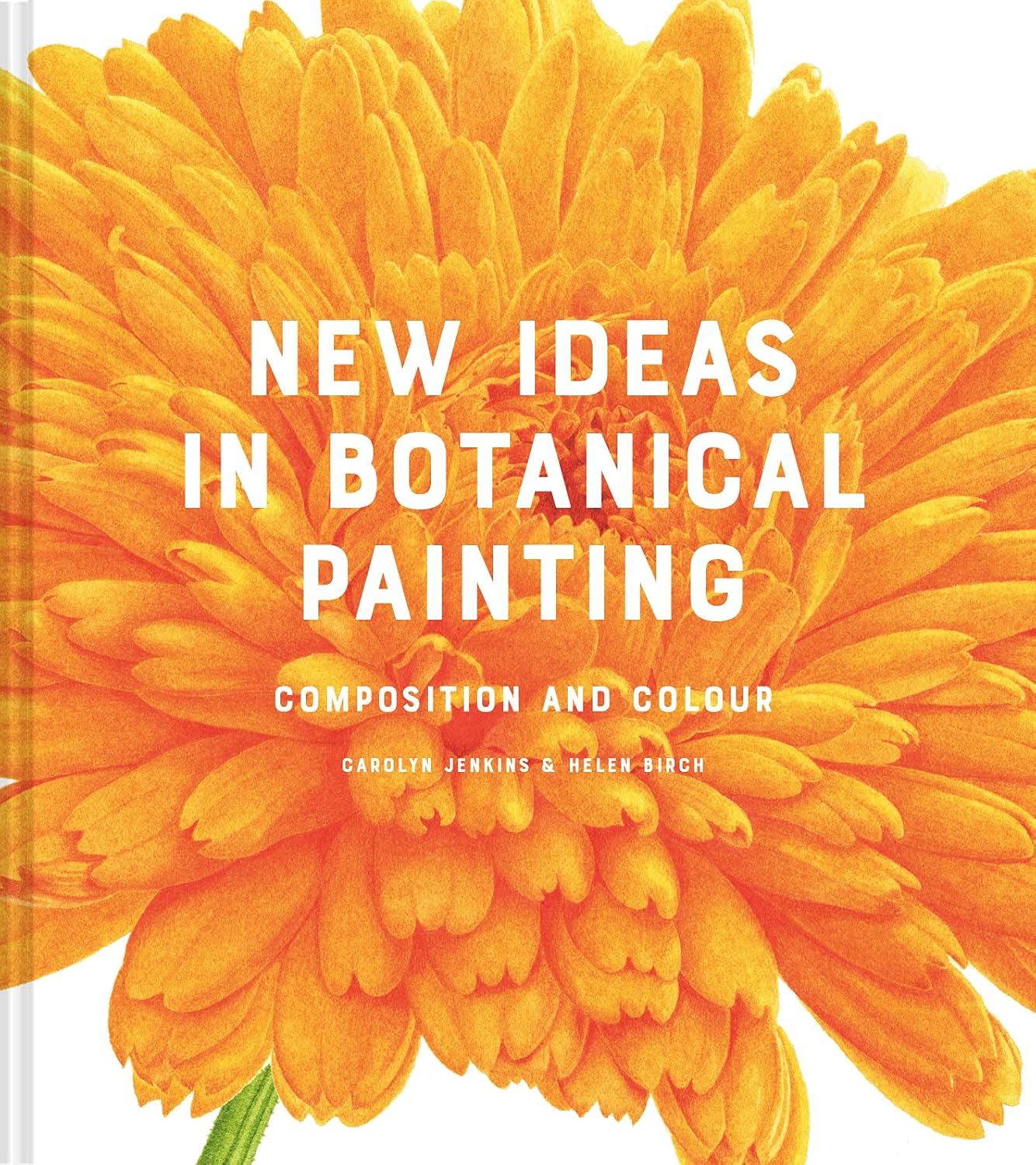 New Ideas in Botanical Painting: Composition and Colour baixar o livro de graça