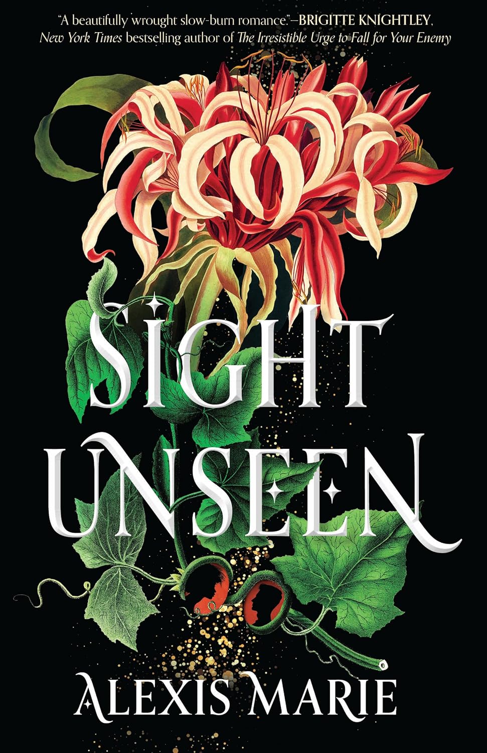 Sight Unseen baixar o livro de graça