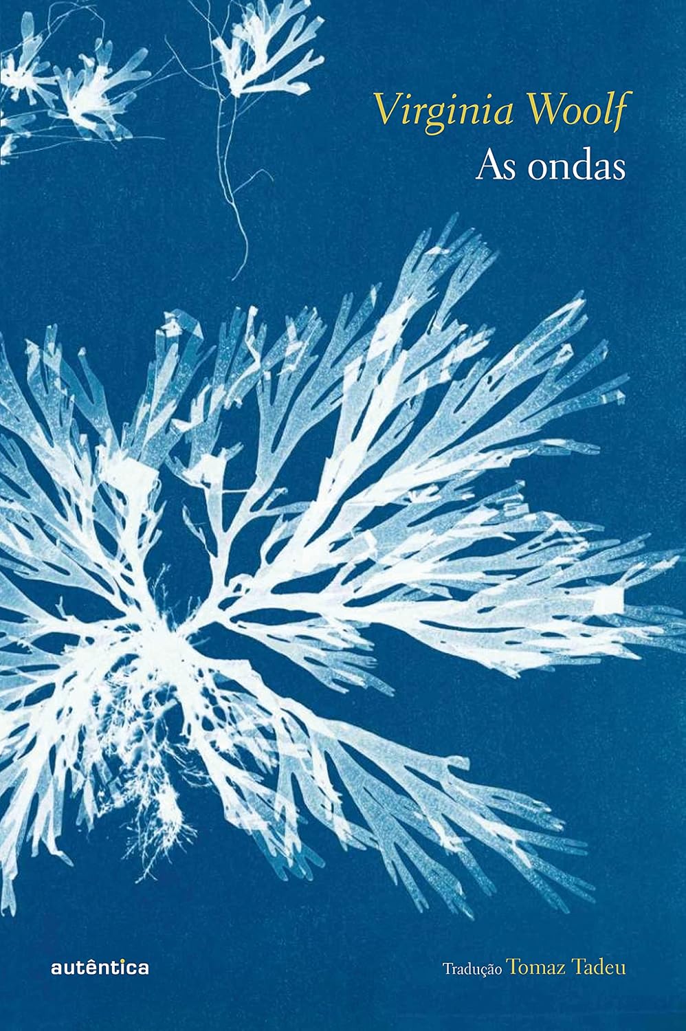 As ondas baixar o livro de graça