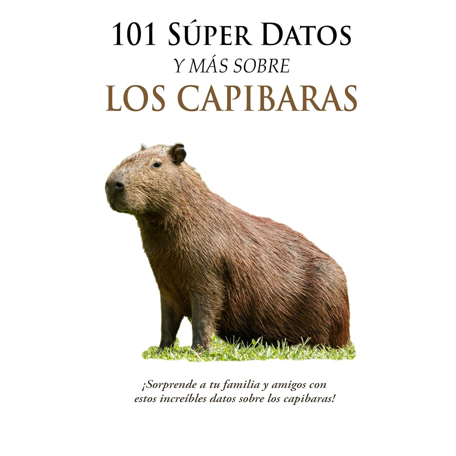 101 Súper Datos y Más sobre los Capibaras