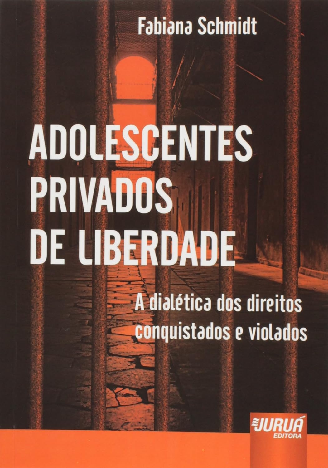 Adolescentes Privados de Liberdade: A Dialética dos Direitos Conquistados e Violados baixar livro de graça