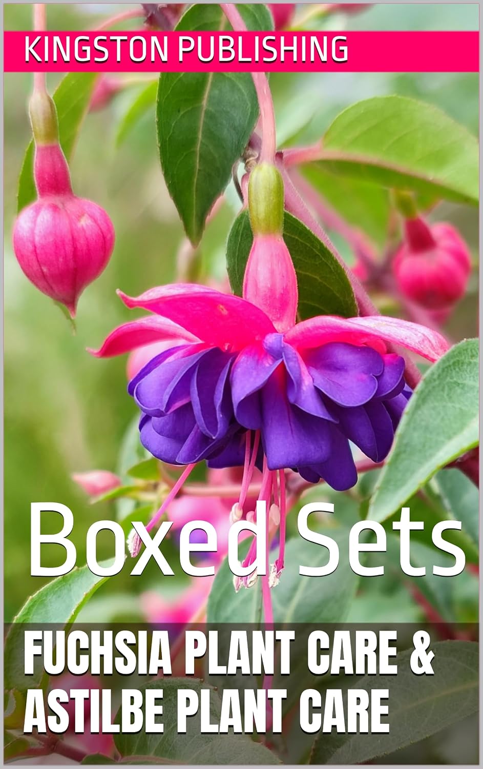 Fuchsia Plant Care & Astilbe Plant Care: Boxed Sets (Relaxing Gardens) (English Edition) baixar livro de graça