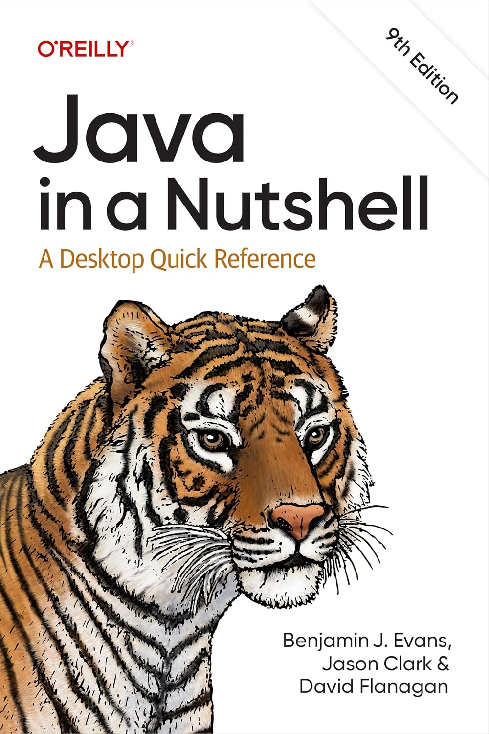 Java in a Nutshell: A Desktop Quick Reference (English Edition) baixar o livro de graça