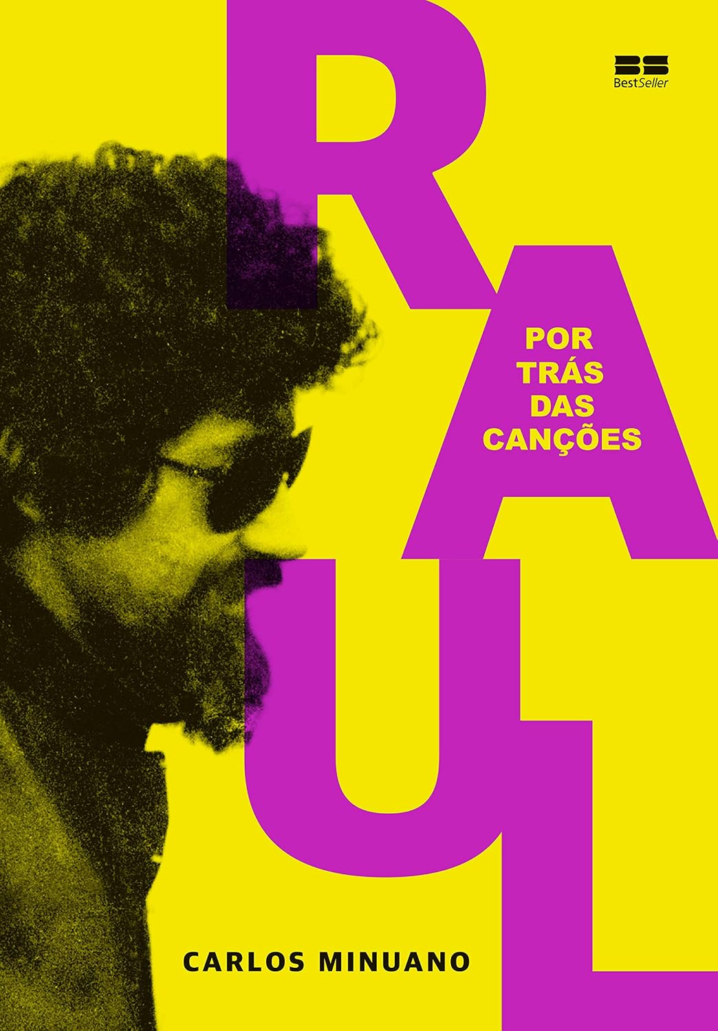 Raul Seixas: Por trás das canções baixar livro de graça