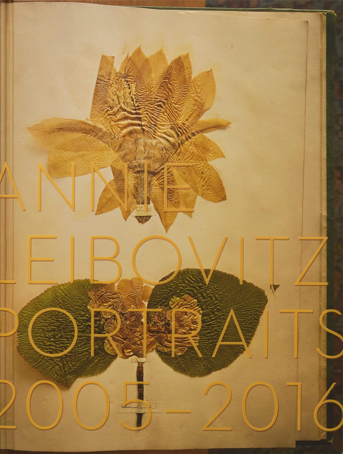 Portraits 2005-2016: portretten 2005-2016 baixar o livro de graça