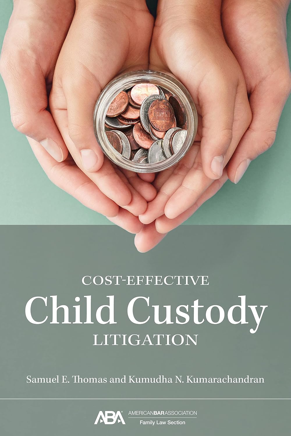 Cost-Effective Child Custody Litigation (English Edition)