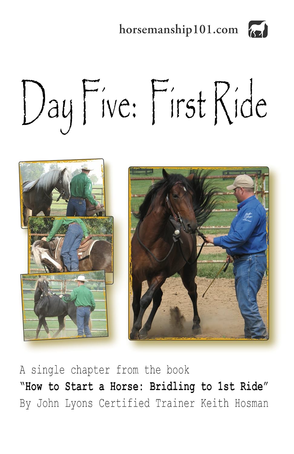 ler totalmente Day Five: First Ride (How to Start a Horse Book 5) (English Edition)