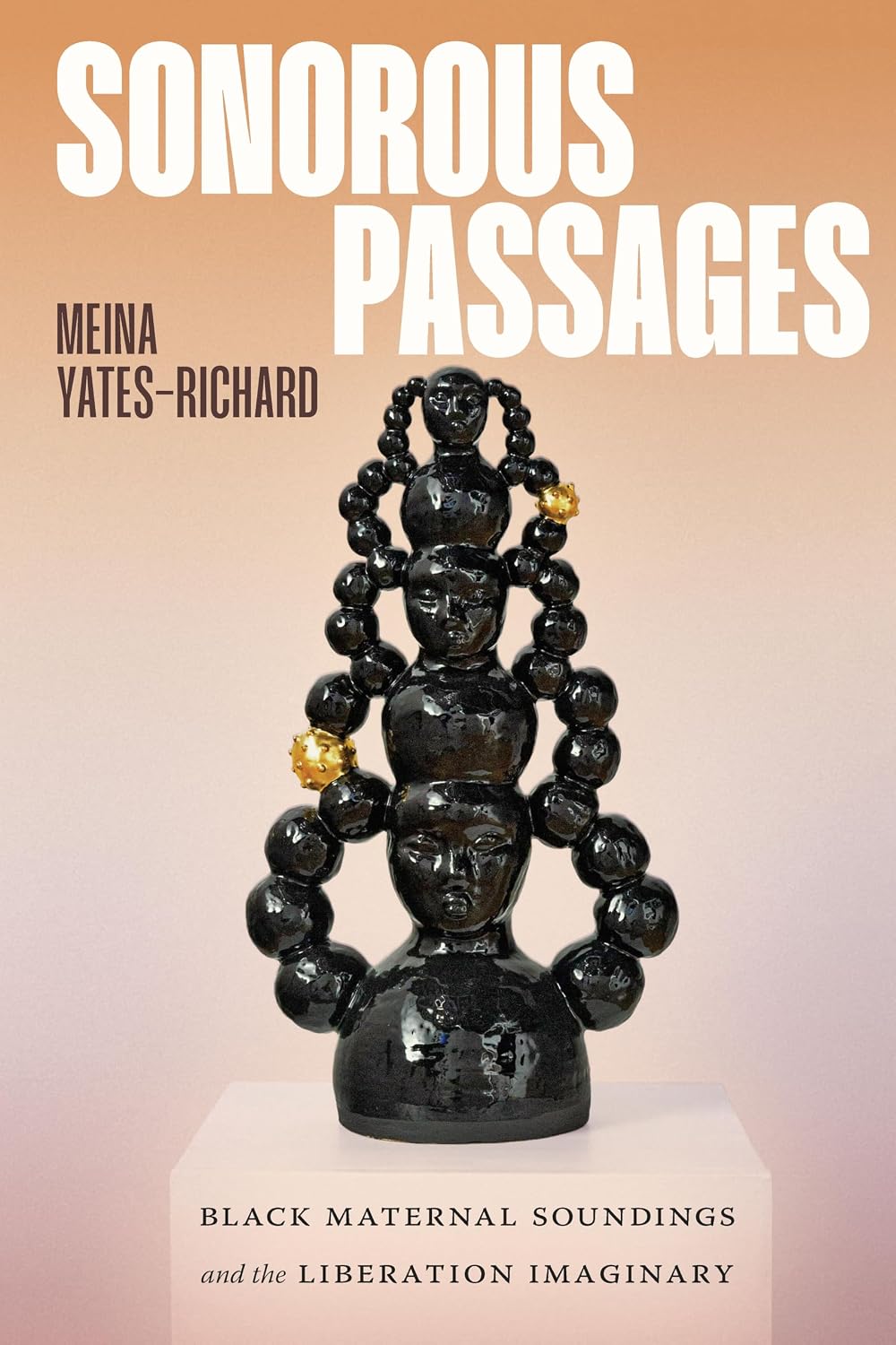 Sonorous Passages: Black Maternal Soundings and the Liberation Imaginary (English Edition)