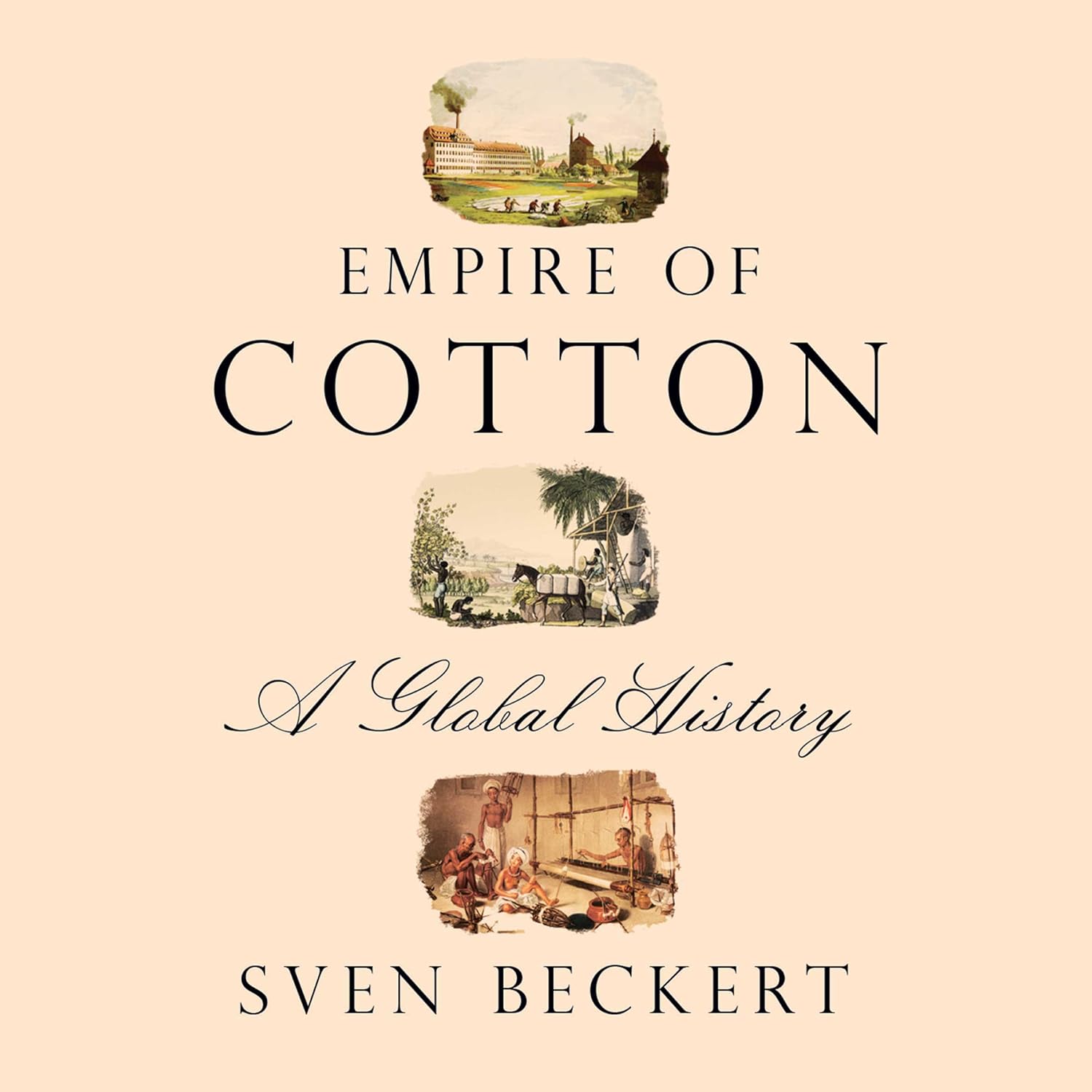 Empire of Cotton: A Global History baixar livro de graça