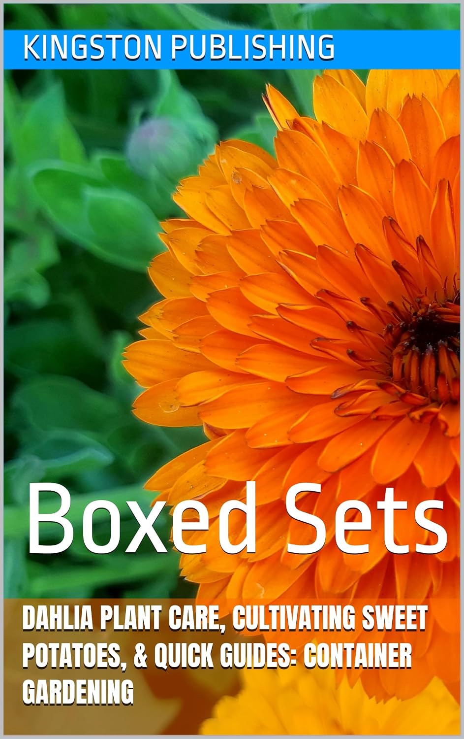 capítulo por capítulo baixar Vivid Dahlia Plant Care, Cultivating Sweet Potatoes, & Quick Guides: Container Gardening: Boxed Sets (Beautiful Gardens) (English Edition)