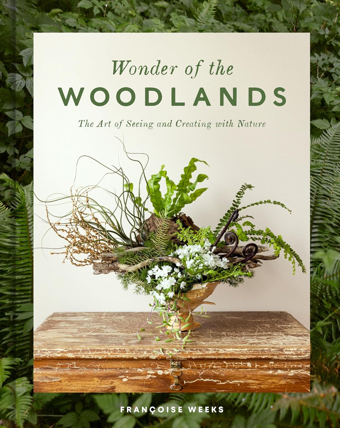 Wonder of the Woodlands: The Art of Seeing and Creating with Nature baixar livro de graça