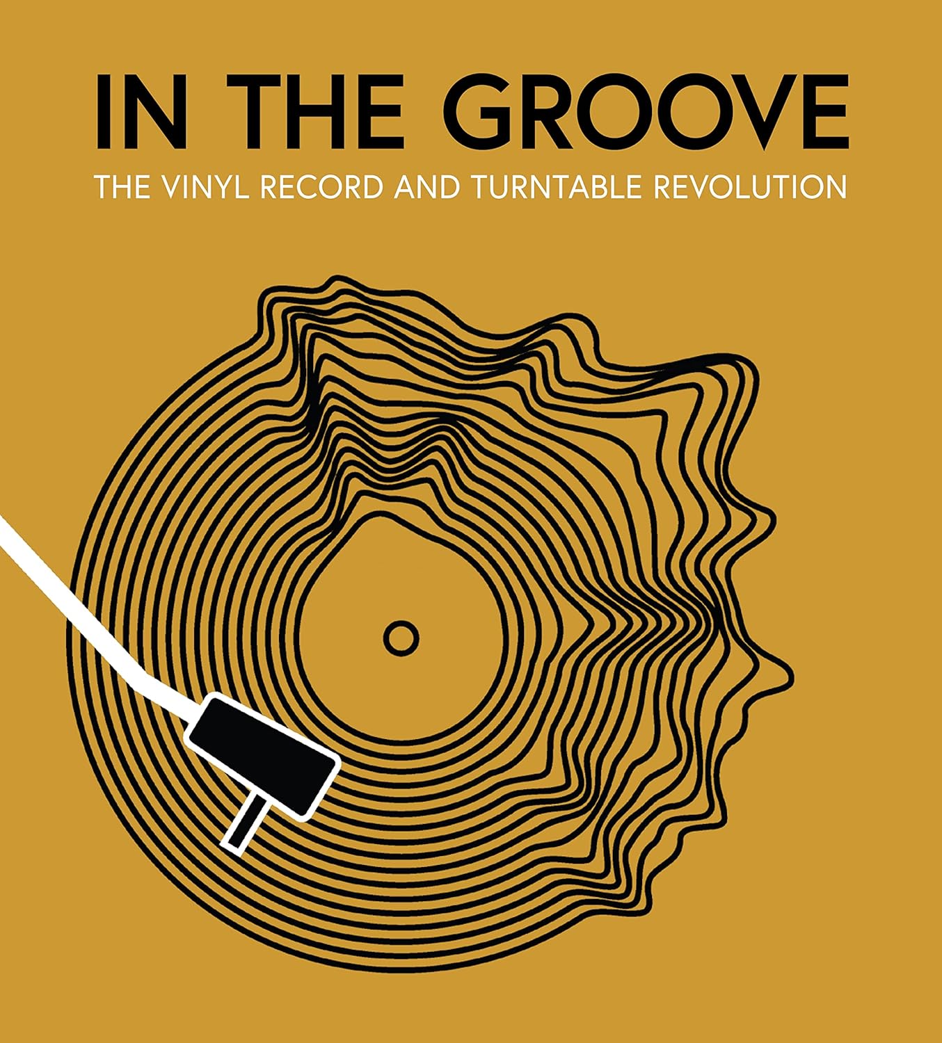 In the Groove: The Vinyl Record and Turntable Revolution baixar livro de graça