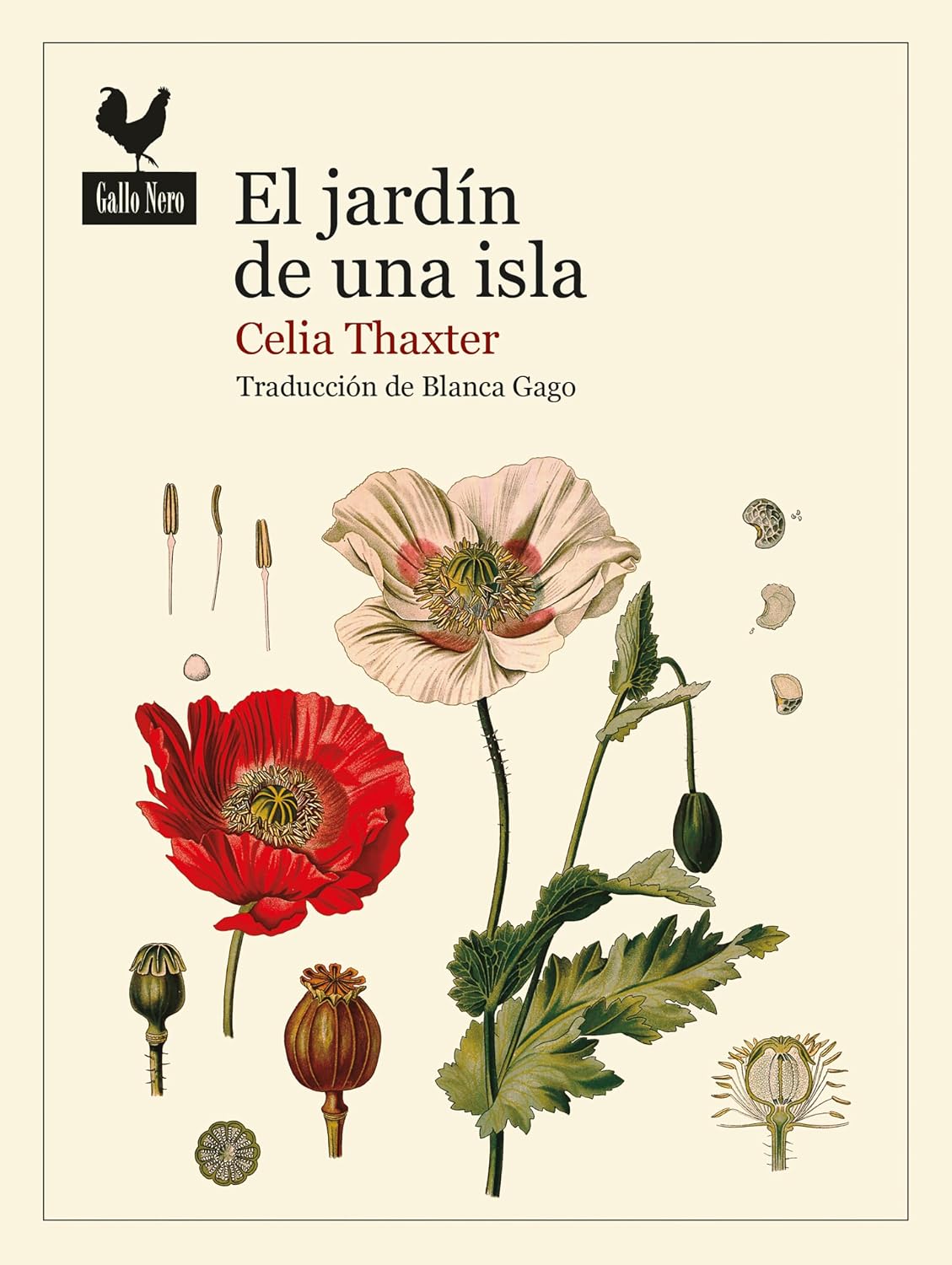 El jardín de una isla (Narrativas Gallo Nero nº 81) (Spanish Edition) baixar livro de graça