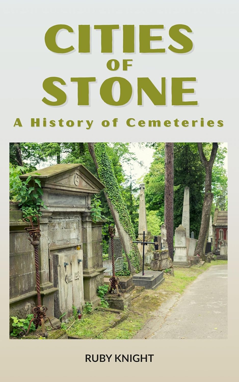 ler totalmente Cities of Stone: A History of Cemeteries: How Cemeteries Reveal the Art, Architecture, and Beliefs of Human Civilization (English Edition)