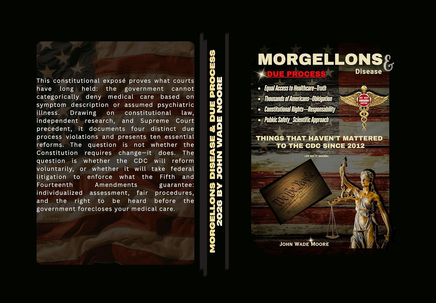 Morgellons Disease & Due Process: Things That Haven't Mattered to the CDC Since 2012 (or so it seems) (Morgellons Disease As a Trifecta Book 1) (English Edition) baixar livro de graça