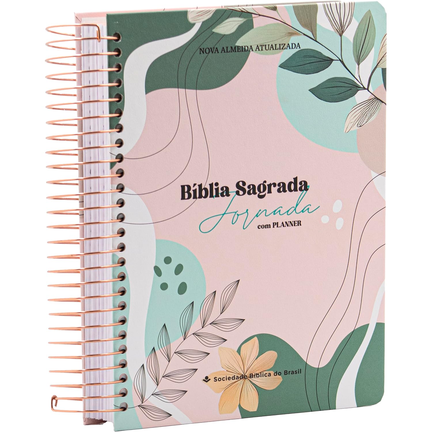Bíblia Jornada NAA com Planner, Letra Regular, com espaço para anotação, com mapa, Capa Dura Ilustrada: Bege: Nova Almeida Atualizada (NAA) baixar o livro de graça