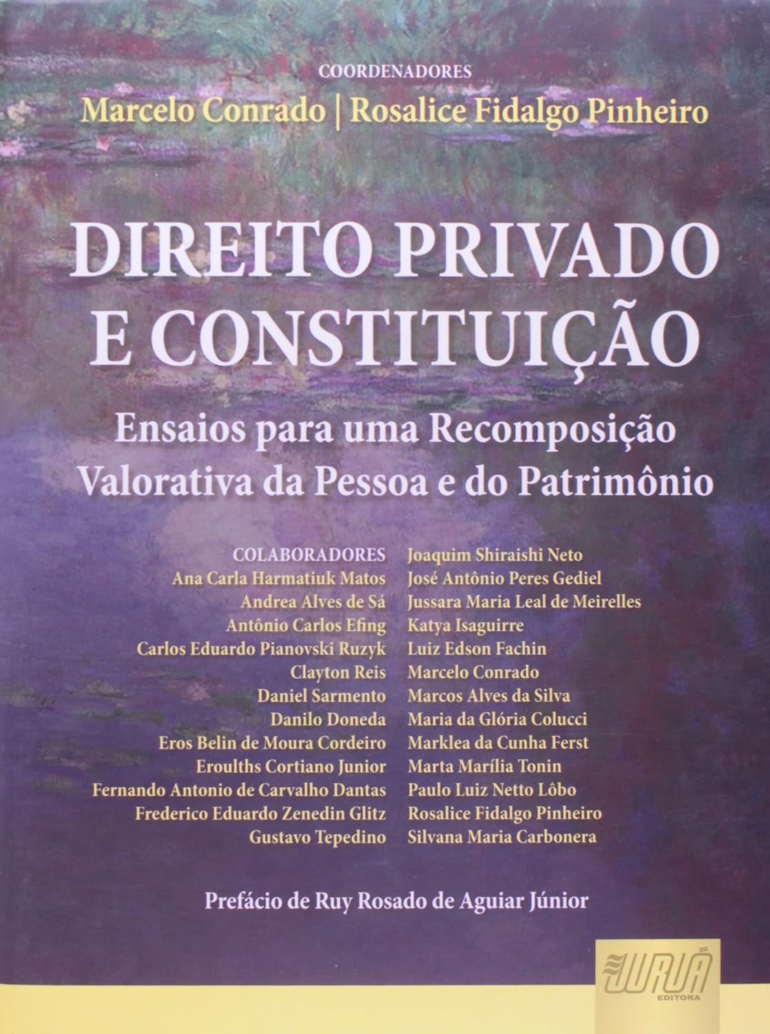 Direito Privado e Constituição: Ensaios para uma Recomposição Valorativa da Pessoa e do Patrimônio baixar livro de graça