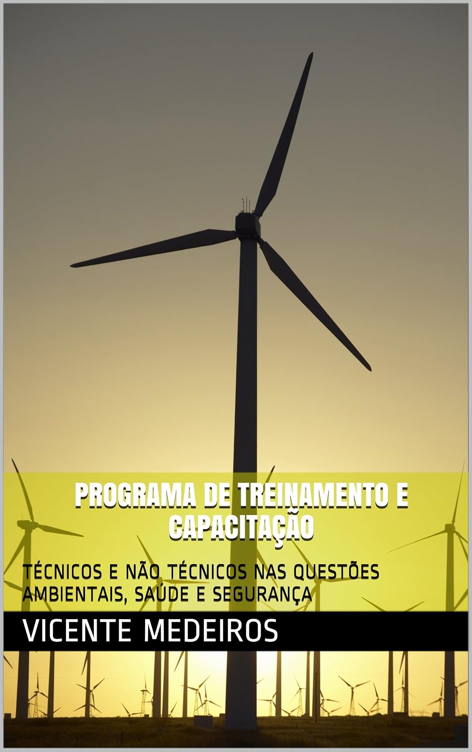 PROGRAMA DE TREINAMENTO E CAPACITAÇÃO: TÉCNICOS E NÃO TÉCNICOS NAS QUESTÕES AMBIENTAIS, SAÚDE E SEGURANÇA baixar o livro de graça