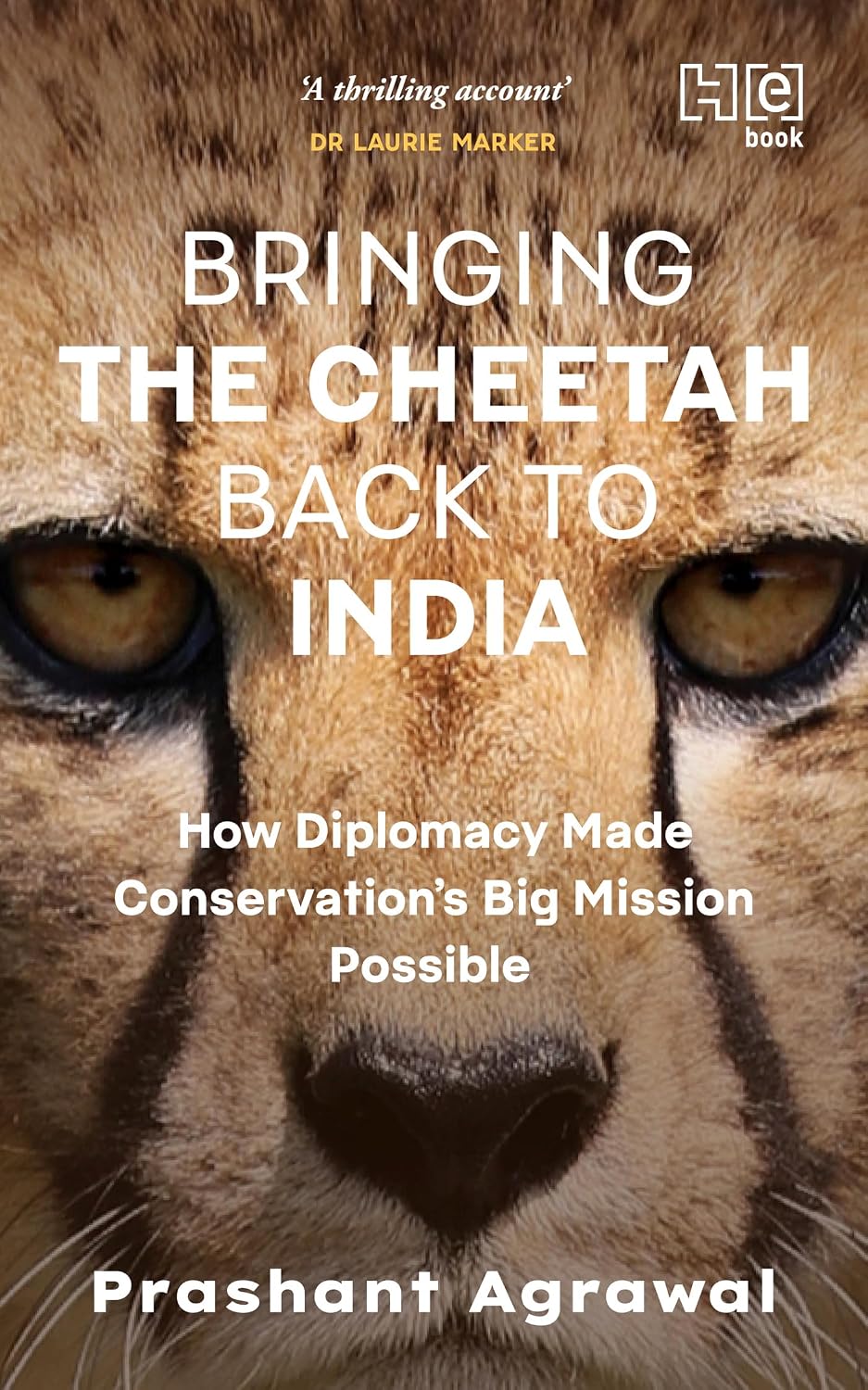 ler totalmente Bringing the Cheetah Back to India: How Diplomacy Made Conservation’s Big Mission Possible (English Edition)