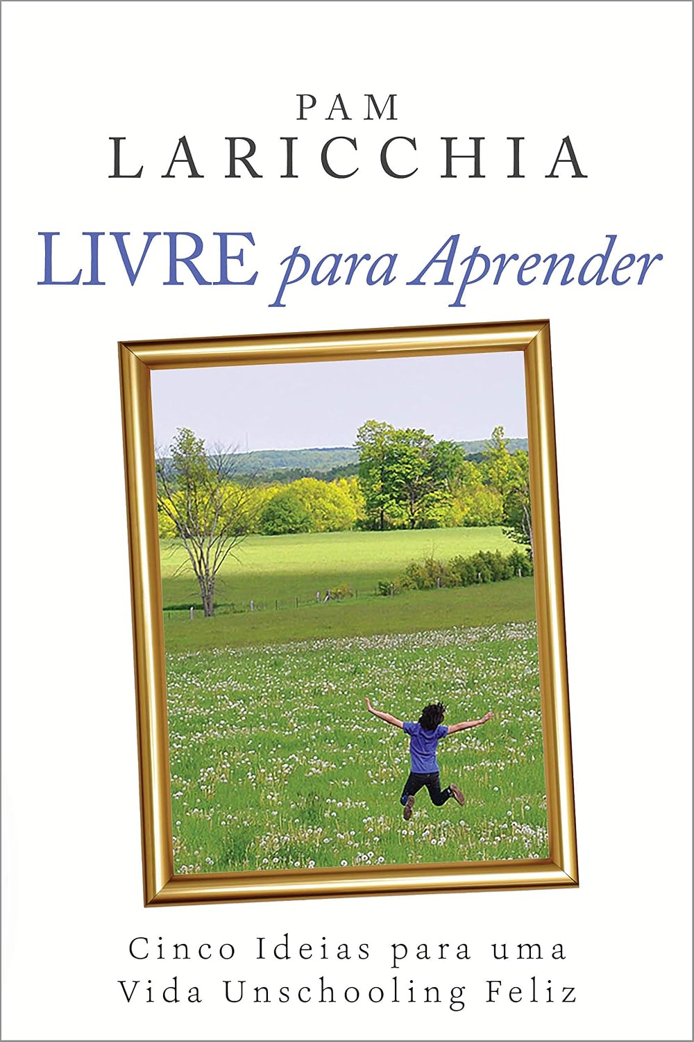 Livre para Aprender: Cinco Ideias para uma Vida Unschooling Feliz baixar livro de graça