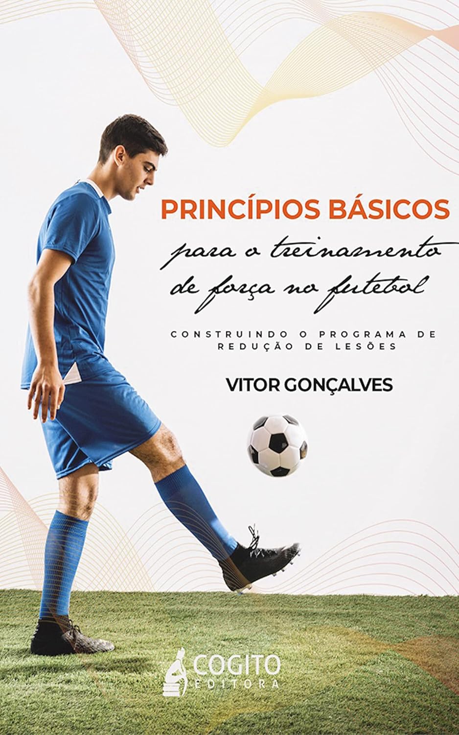 PRINCÍPIOS BÁSICOS PARA O TREINAMENTO DE FORÇA NO FUTEBOL: CONSTRUINDO O PROGRAMA DE REDUÇÃO DE LESÕES baixar livro de graça