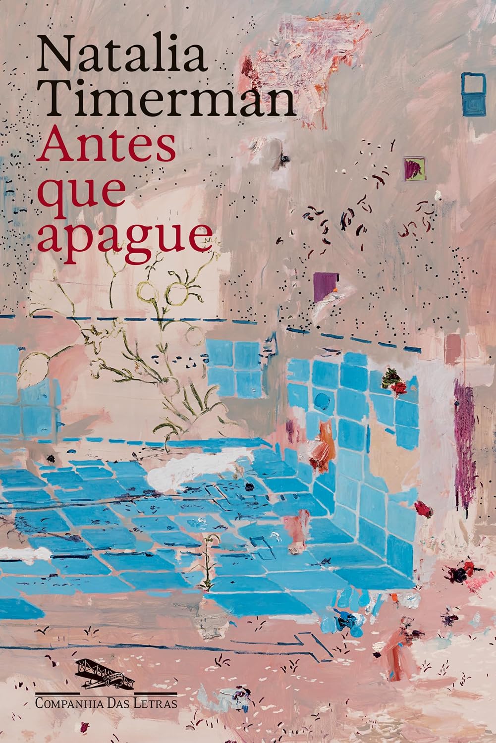 Antes que apague baixar o livro de graça