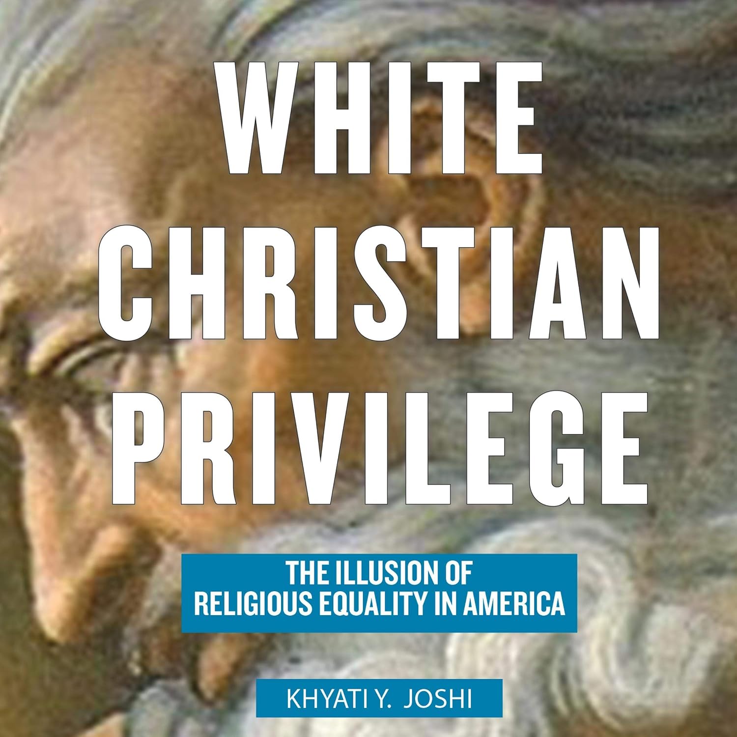 White Christian Privilege: The Illusion of Religious Equality in America baixar o livro de graça
