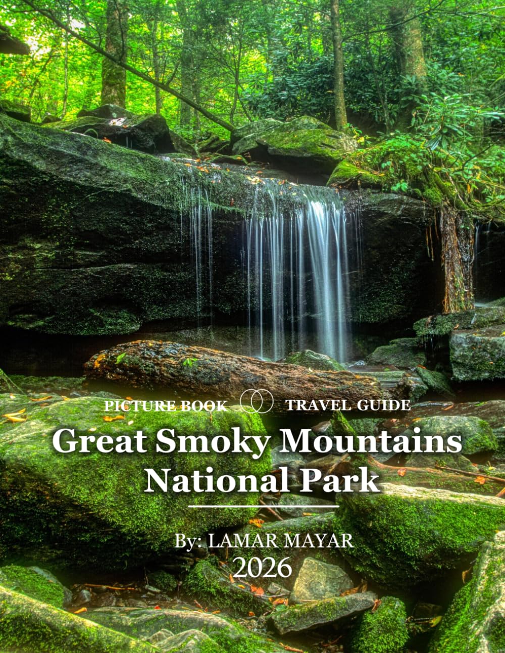Great Smoky Mountains National Park: Wonderful pictures that give you an idea of an amazing country, the style of buildings, castles, etc., for all travel lovers. baixar o livro de graça