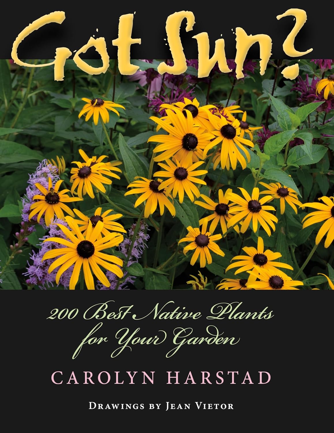 capítulo por capítulo baixar Got Sun?: 200 Best Native Plants for Your Garden (Encounters: Explorations in Folklore and Ethnomusicology) (English Edition)