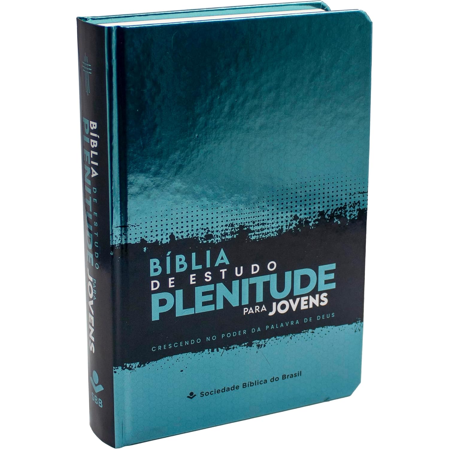 Bíblia de Estudo Plenitude para Jovens NTLH, Letra Regular, com mapa, Capa Dura Azul: Nova Tradução na Linguagem de Hoje (NTLH) baixar o livro de graça