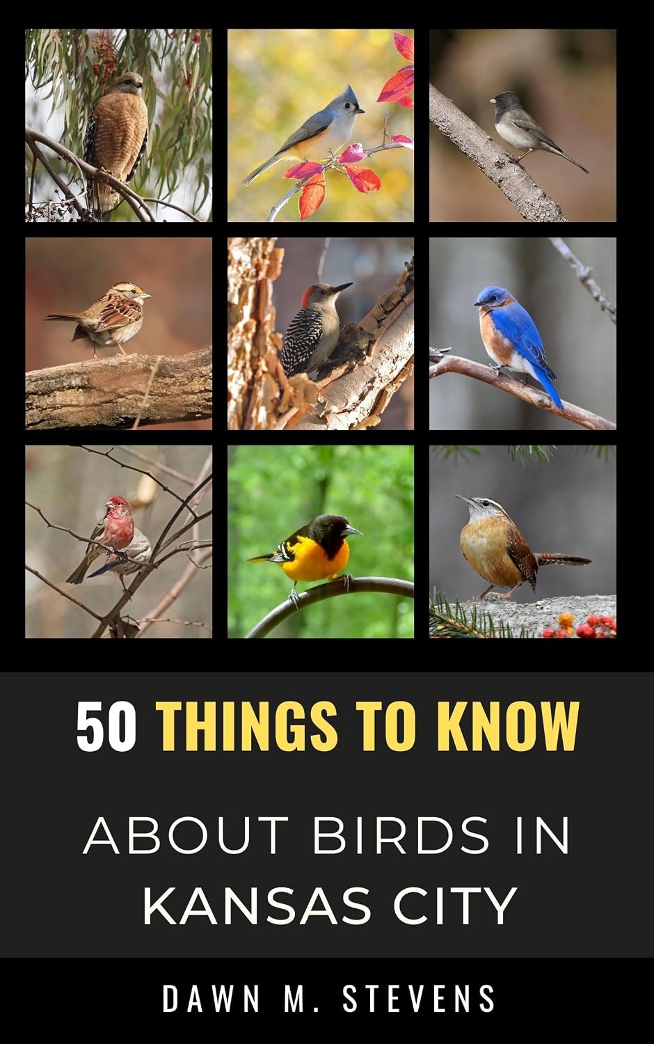 50 Things to Know About Birds in Kansas City Missouri: Birdwatching Guide, Bird Identification, Local Species, Nature Facts, Backyard Birds, & Wildlife... and regional bird books) (English Edition) baixar o livro de graça