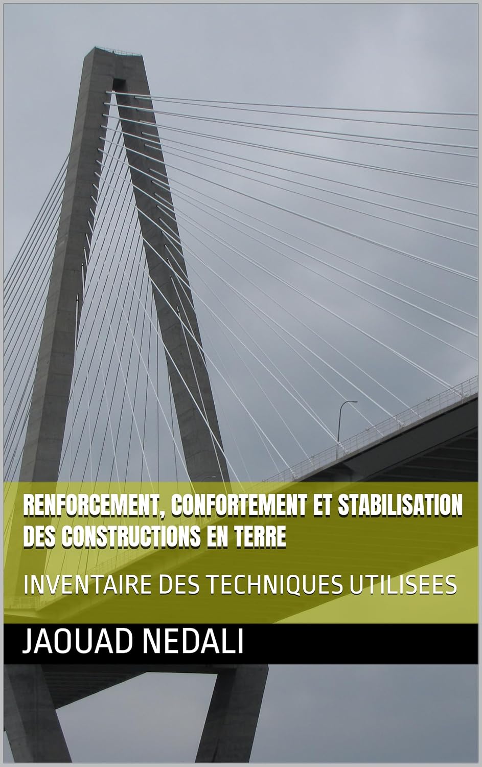 ler totalmente RENFORCEMENT, CONFORTEMENT ET STABILISATION DES CONSTRUCTIONS EN TERRE: INVENTAIRE DES TECHNIQUES UTILISEES (French Edition)