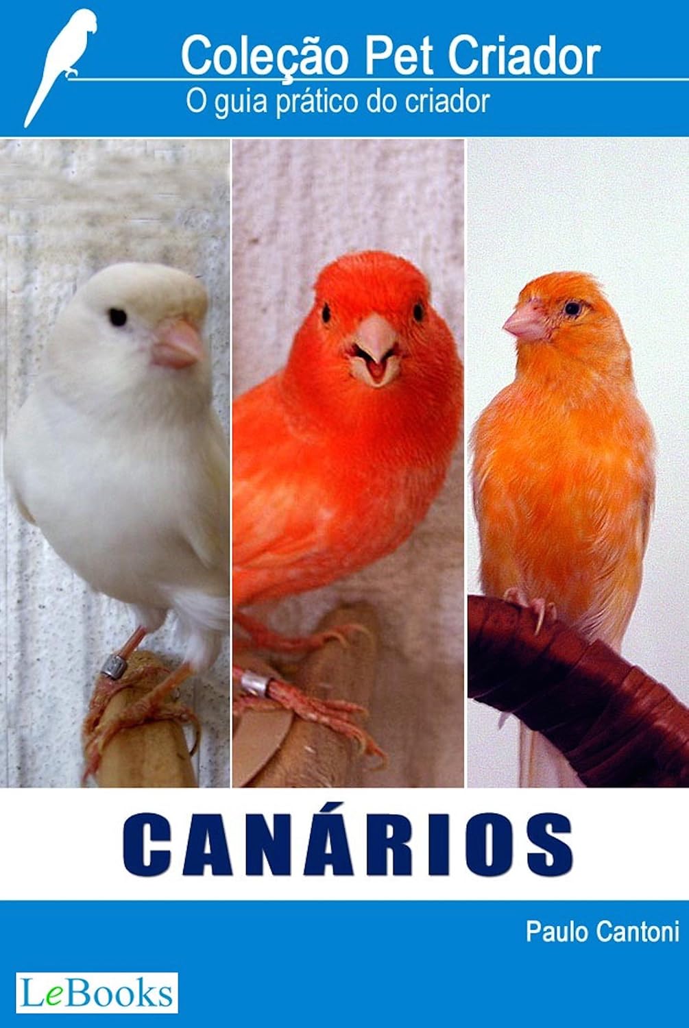 Canários: Guia prático do criador (Coleção Pet Criador) baixar o livro de graça
