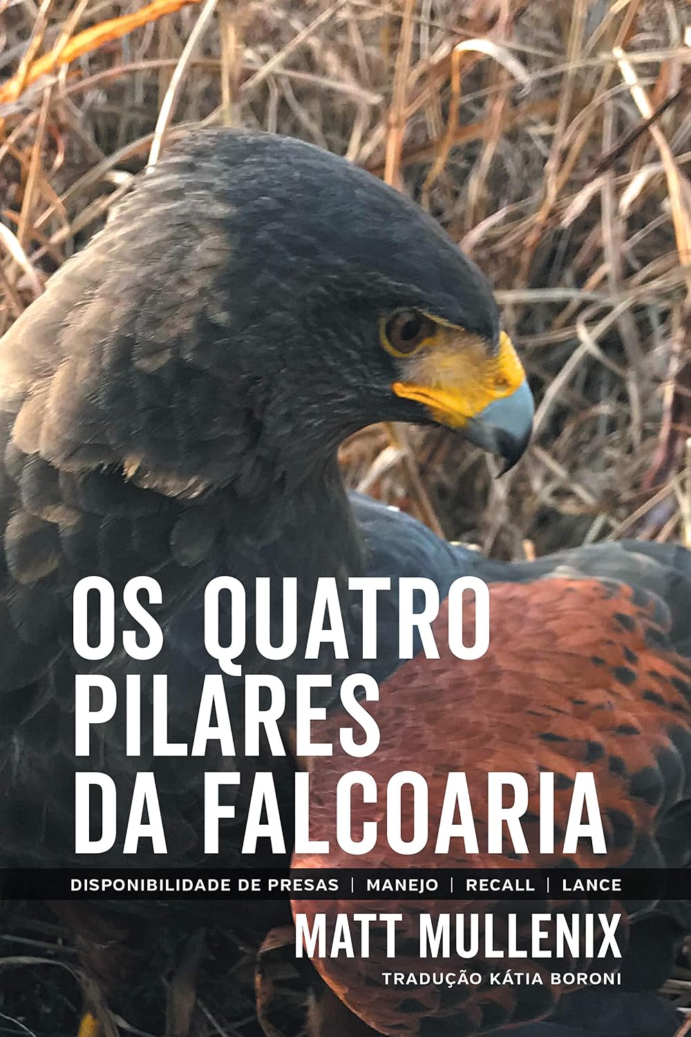 Os Quatro Pilares da Falcoaria: (Four Falconry Fundamentals) baixar livro de graça