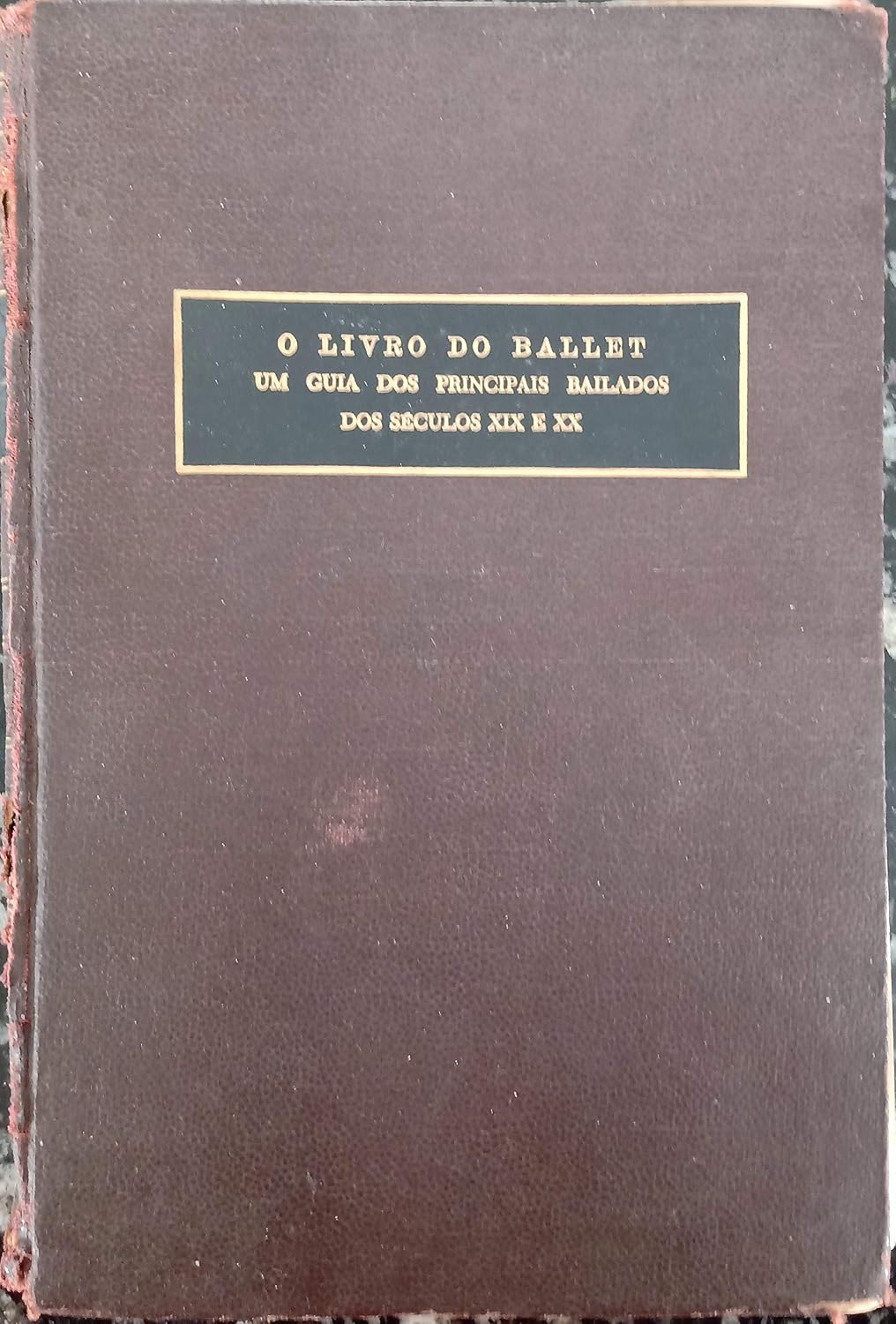 O Livro do Ballet - Um Guia dos Principais Bailados dos Séculos XIX e XX baixar o livro de graça