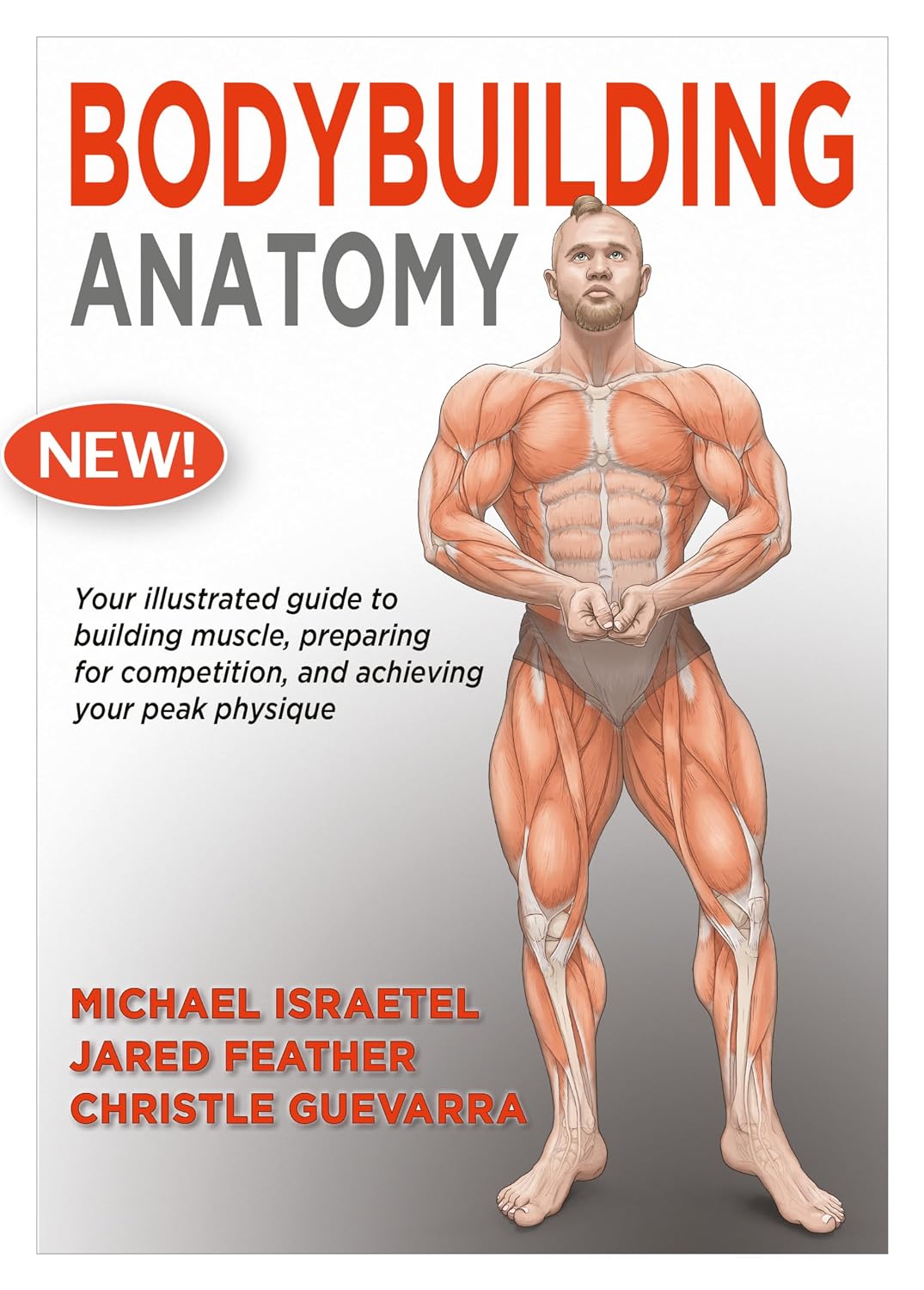 Bodybuilding Anatomy baixar livro de graça