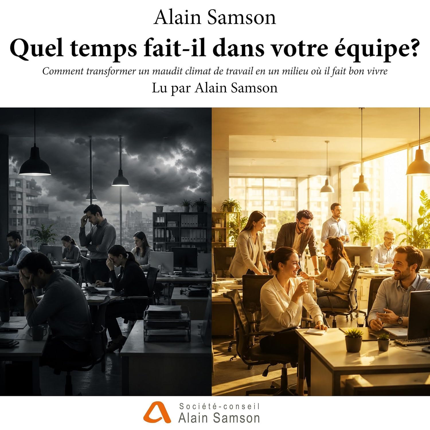 Quel Temps Fait-Il Dans Votre Équipe?: Comment Transformer Un Maudit Climat De Travail en Un Milieu Où Il Fait Bon Vivre baixar o livro de graça