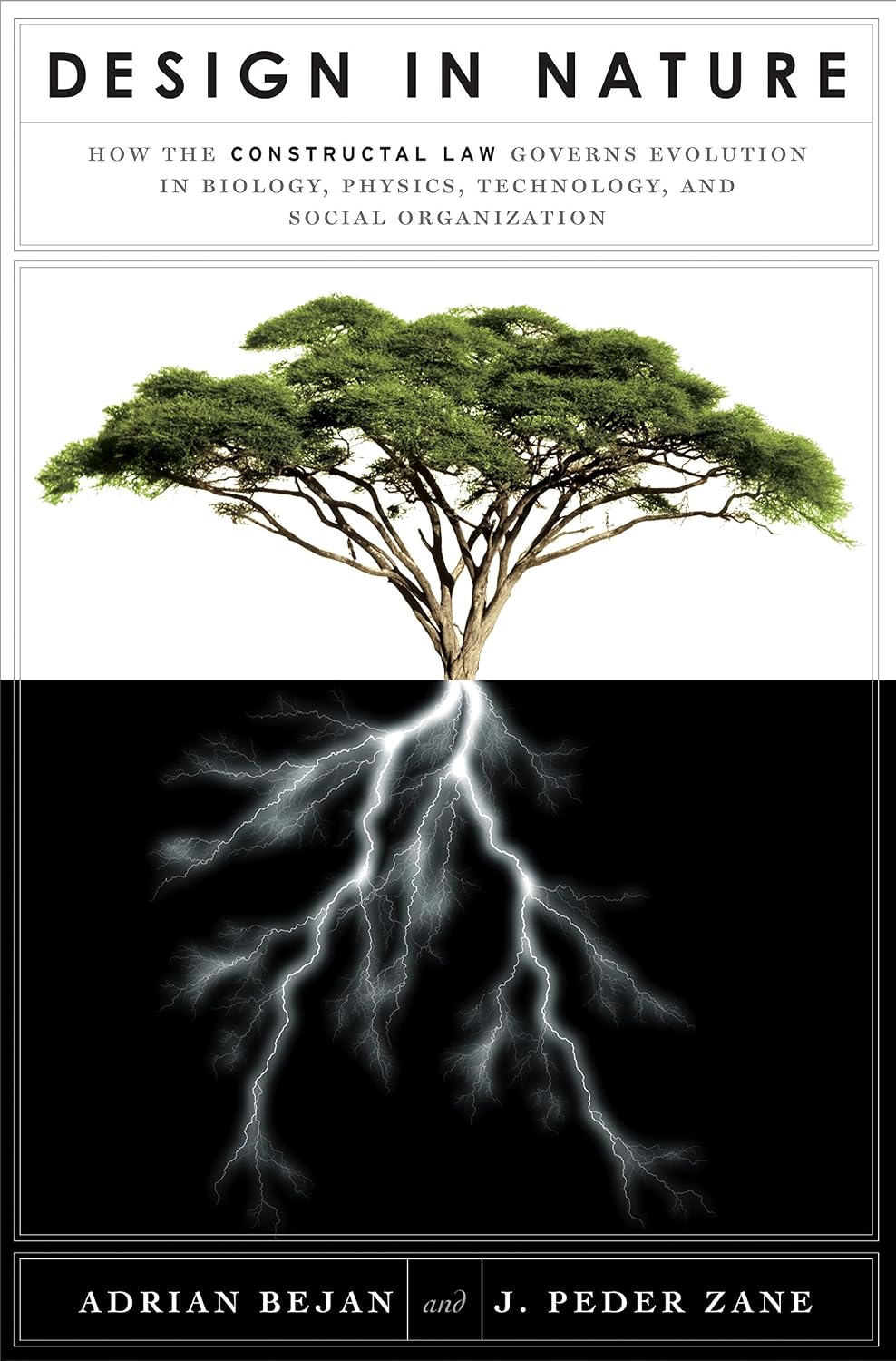 Design in Nature: How the Constructal Law Governs Evolution in Biology, Physics, Technology, and Social Organization (English Edition)