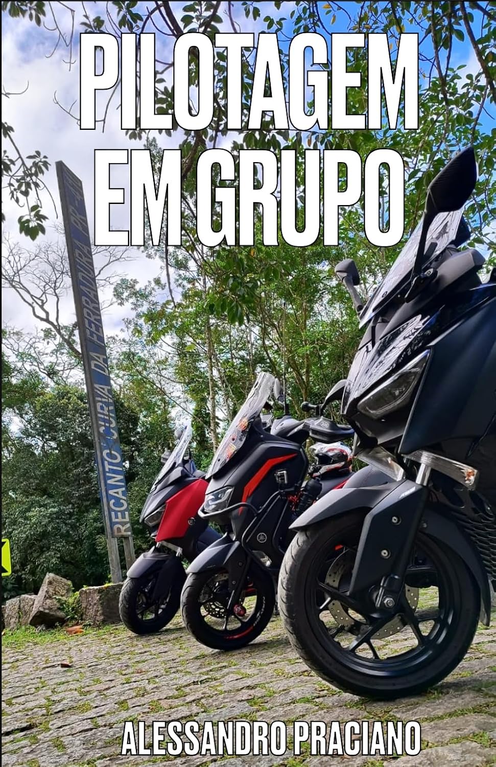 Pilotagem em Grupo: Como pilotar motos nos passeios em grupo baixar livro de graça